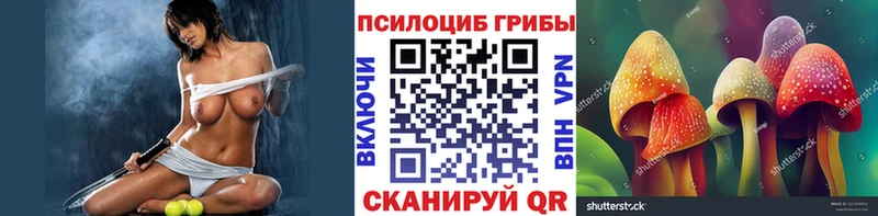 как найти закладки  Красноармейск  кракен ONION  Галлюциногенные грибы GOLDEN TEACHER 